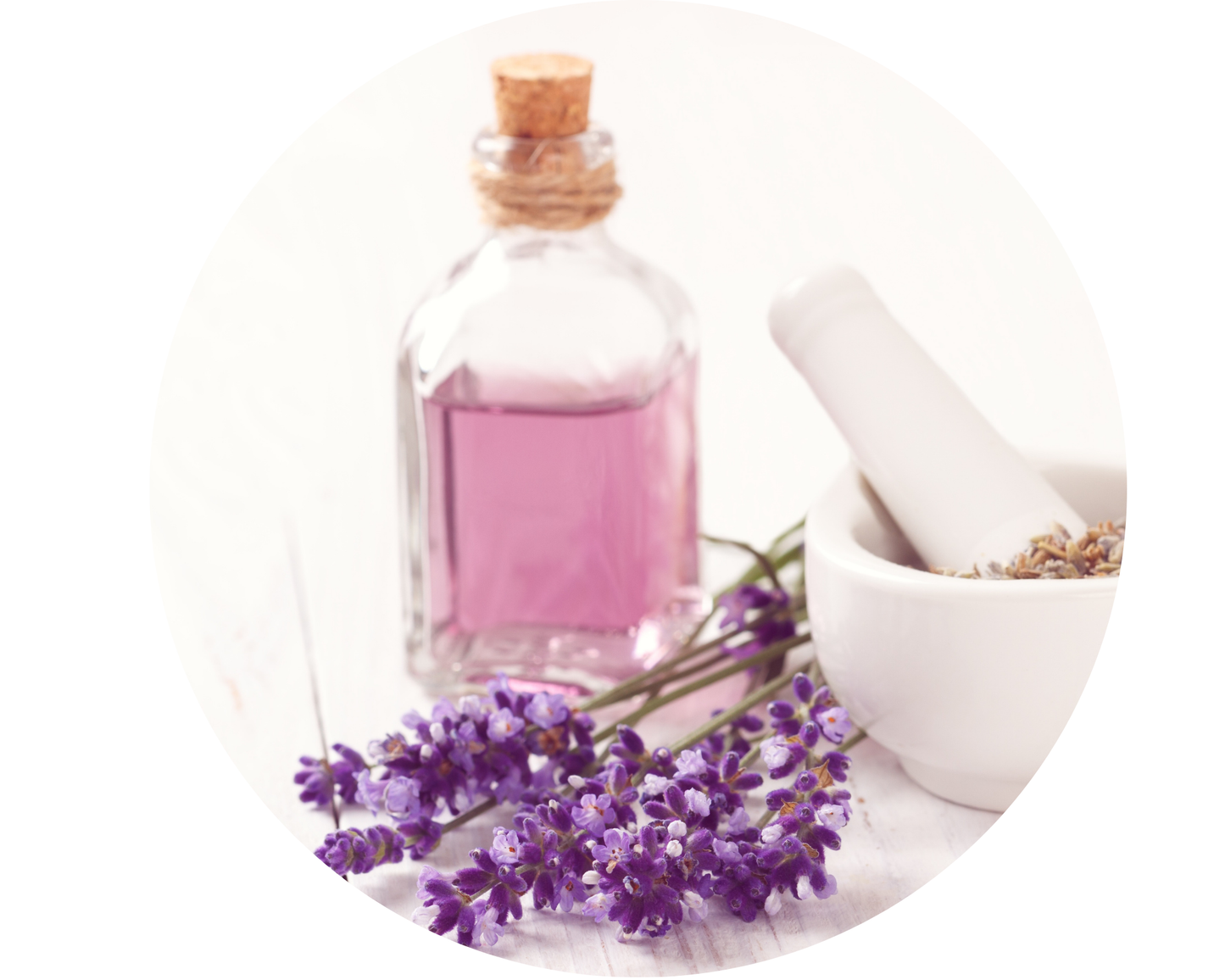 The Velvet Bi-Monthly Box